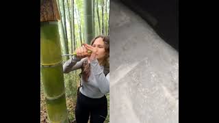 #campping #bamboo #natur #satisfying #nature #wood #bushcraft #camping #lifehack #survival