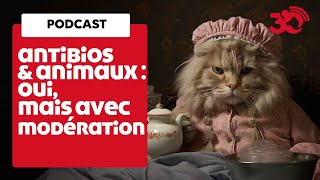 PODCAST - Antibiotiques : pour les animaux aussi ce n'est pas automatique !