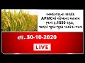 ગુજરાતની બધી જ APMCના તા.30-10-2020 દરેક પાકના ભાવ LIVE । TV9 NEWS