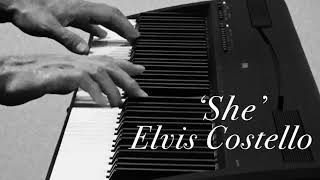 Elvis Costello &#39;She&#39; -Covered | Satoru Takishima