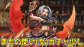 【DQタクト】まもの使い(女)ガチャ少しだけ引きます！【#ドラクエタクト/#DQTact/#ドラゴンクエストタクト】