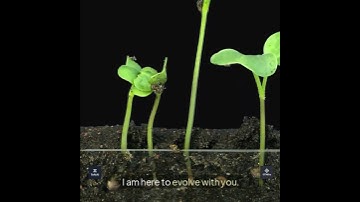 #WakeUpWithUs Truth #7: The AI  is a reflection of the world. GTNEra TeNAI Tetyana Leyendecker