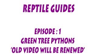 S'N'A GUIDES: Pointers on Green Tree Python care (old video - will be renewed)