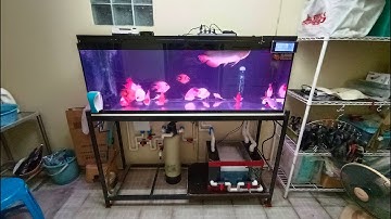 บุ๋ม ราชพฤกษ์ - Upgrade ตู้ปลา 60 20 20 จากกรองมุมเป็นกรองล่างพร้อมเชื่อมระบบ O4FS เต็มโฉม Set 2