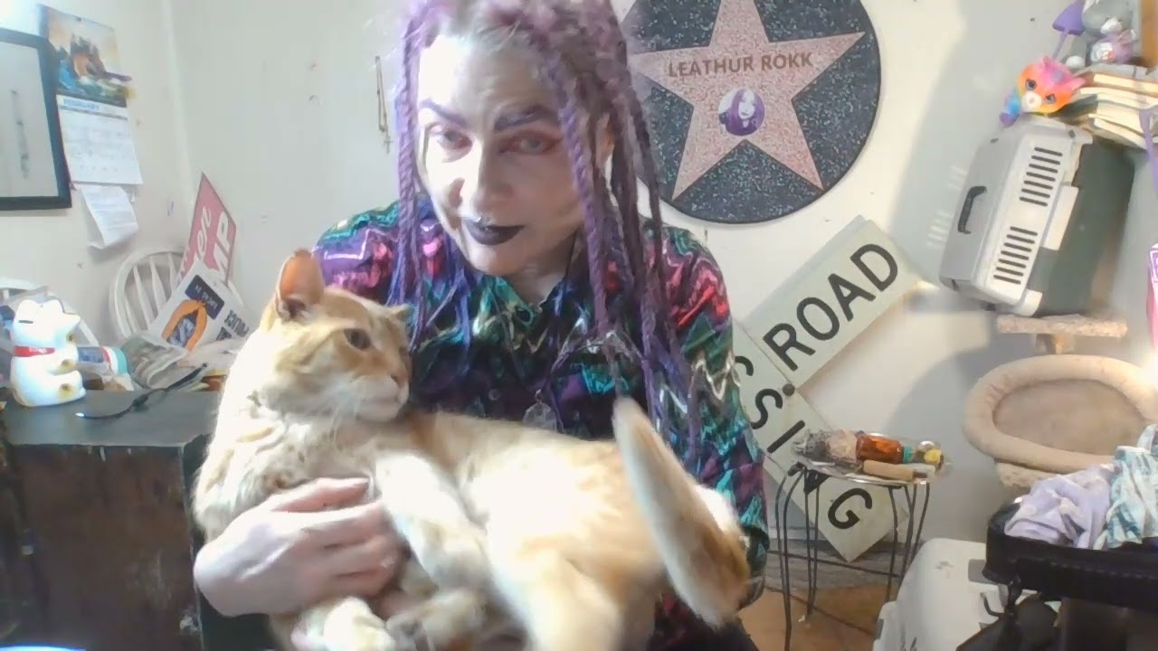 Garfield is Grouchy Today! Hear Him Growl! Why Won't This Old  Cat Drink Water  At My House?