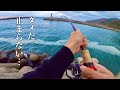 【総集編】人生初の聖地遠征。そこには信じがたいモンスター達が待っていた・・【人生初離島 釣り旅】