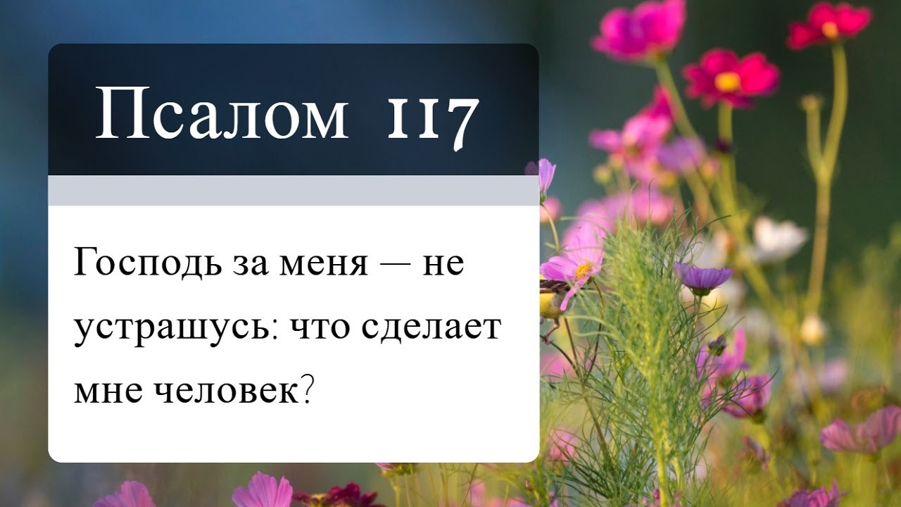 Псалтирь бондаренко. Псалом 117. Псалом 117,17. Псалом 117:24. Библия Псалом 117.