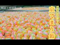 京てまり飴