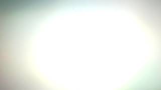 Family Madagascar Part 12 The King