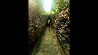 Tumba de Jasaw Chan K'awill I - Templo I o Templo del Gran Jaguar de Tikal ✨️ #Shorts