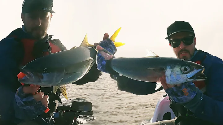 Jervis Bay Whiteout Kingfish + Record Slimey!!! {Catch & Cook}