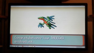 Pokemon omega ruby (treecko evolve)
