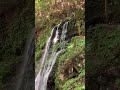 不動の滝