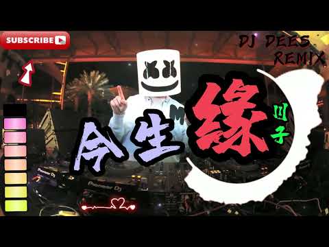 今生缘 川子 慢摇 REMIX DJ DEES 朋友啊 让我们一起牢牢铭记 别在乎哪一些忧和伤