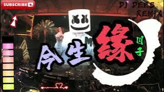 今生缘 - 川子 - 慢摇🔥🔥 【REMIX】【DJ DEES】『朋友啊，让我们一起牢牢铭记，别在乎哪一些忧和伤』