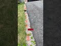 Called in the big dogs to fix this driveway 🎥: @dirty_mike26
