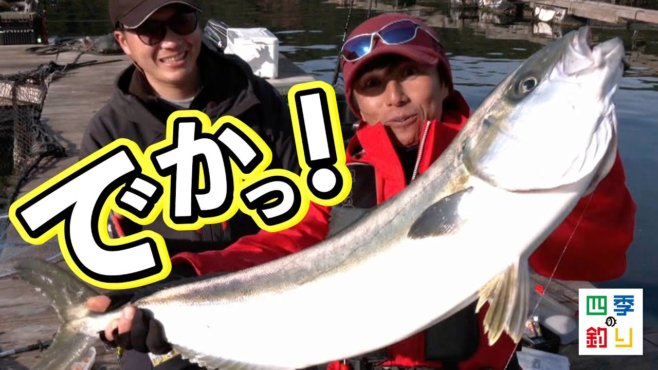 釣り｜海釣り仕掛｜渓流仕掛｜釣り針の（株）ささめ針
