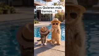 Dos Gatos Asombrosos                 #baile #viral #ritmo #cadencia #musica #shortviral