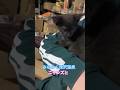 ネコと子ネコとおじさん　みちのく深沢温泉の黒赤ニャンと　#shorts #cat #猫のいる暮らし #kitty #ねこ #みちのく深沢温泉
