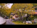4K Japanese Countryside Walking Tour || Kyoto, Japan 2024