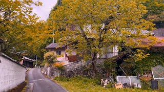 4K Japanese Countryside Walking Tour || Kyoto, Japan 2024