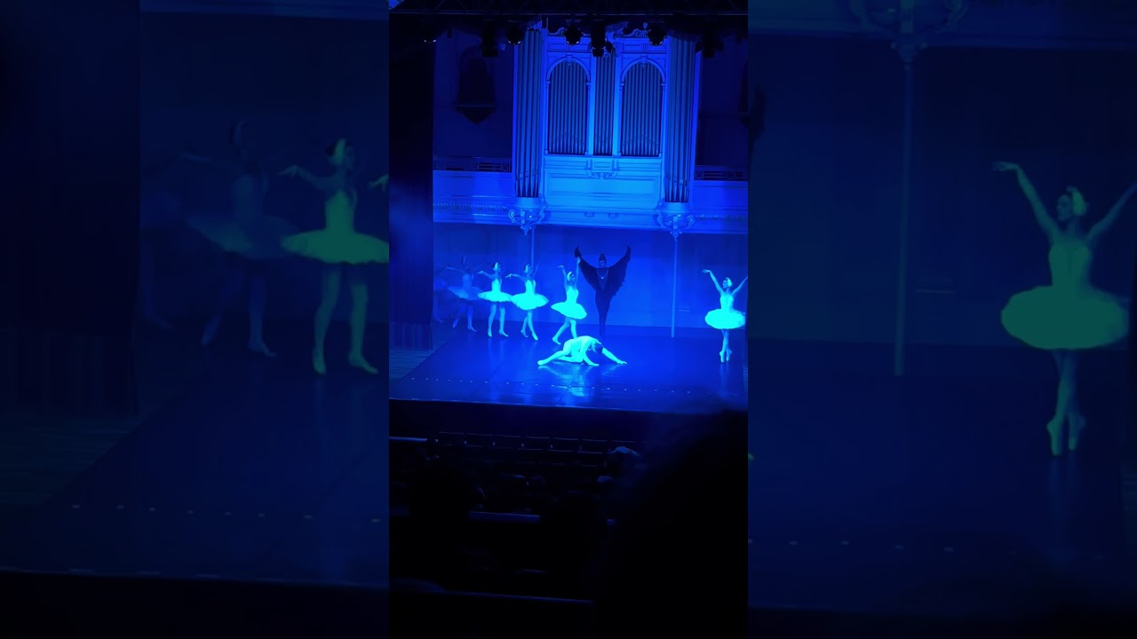 Lago de los cisnes 15 - Tchaikovsky National Ballet - Swan Lake