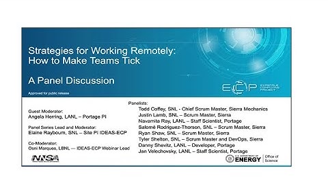 Strategies for Working Remotely Panel Series: How to Make Teams Tick