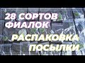 Заказала фиалки почтой.🌸 Распаковка посылки с цветами🌸