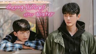 Cherry Blossoms After Winter Ep 5 // Korean BL series // @last_twilight.echo21