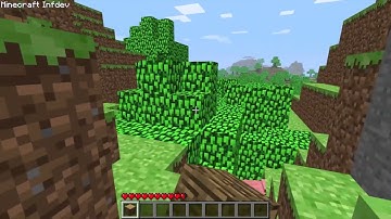 Version Infdev 20100617-2