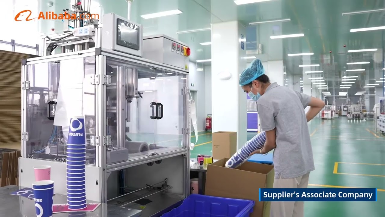 Inside LOKYO – Your Trusted China Paper Cup Factory