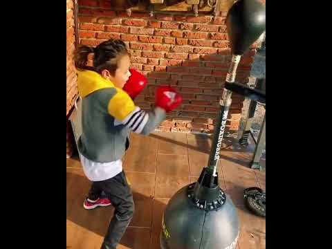 Boy Shows Incredible Boxing Skills While Practicing With Punching Stand Box 1179272