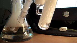 Alex K Showerhead(ZOB) WeedStar Showerhead(A/C)