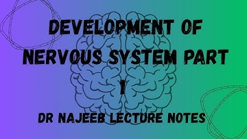 DEVELOPMENT OF NERVOUS SYSTEM PART 1/NEUROANATOMY/ DR NAJEEB LECTURES NOTES /LINK IN DESCREIPTION