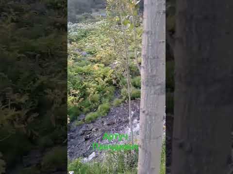 Артуч Панҷакент соли