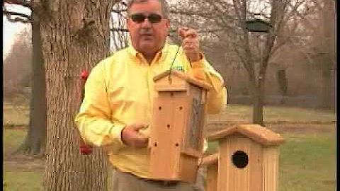 How to Attract Woodpeckers to your backyard with Birdman Mel