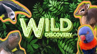 Wild Discovery At Ribby Hall | We Visited The ZOO And Fed BATS!