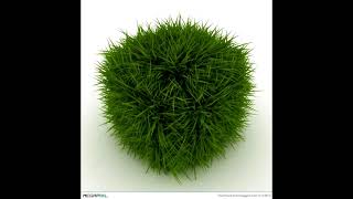 Bit Wars Minecraft Gr Block