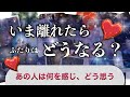 🌸今、離れたらどうなる?👨👩あの人はどう思う?【もしもの未来・可能性のお話】