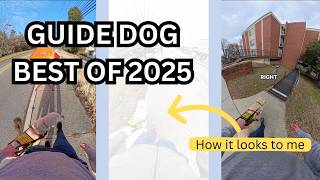 The Best of Slightly Blurry 2025! (All Videos Together)