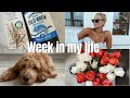 Week in my life | Rachel Ratke