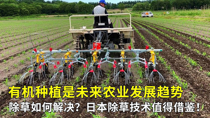 有機種植是未來農業發展趨勢，除草如何解決？日本除草技術值得借鑒！ - 天天要聞