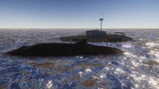 Whale