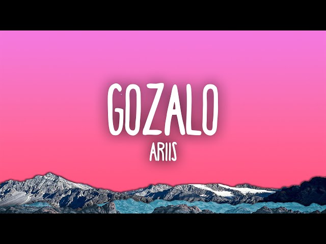 GOZALO - ARIIS