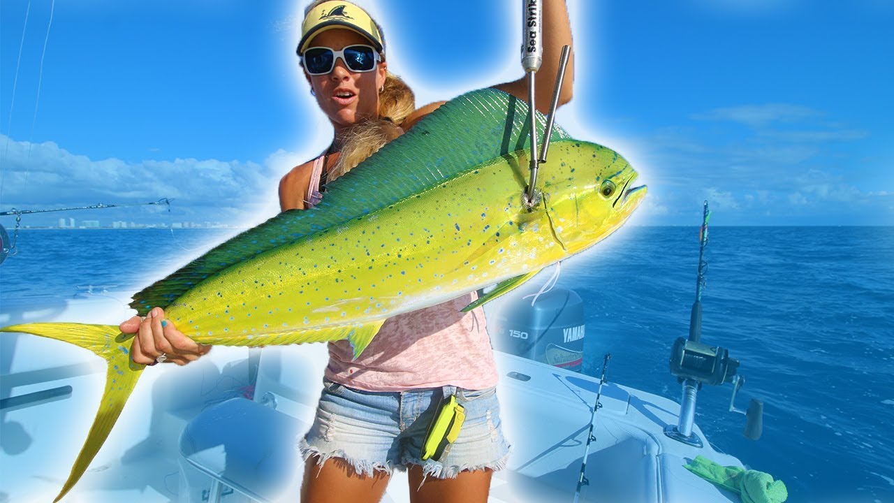 EPIC Offshore Mahi Fishing! Catching BEAUTIFUL FISH for Dinner! YouTube