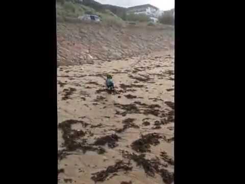 fundamentos del voleibol French Bulldog Head over Heals chancing a ball