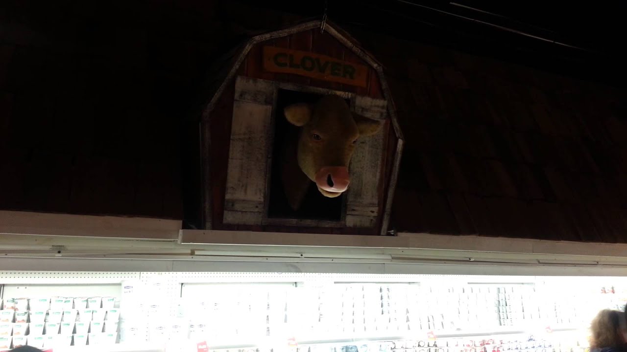 Stew Leonard's YouTube