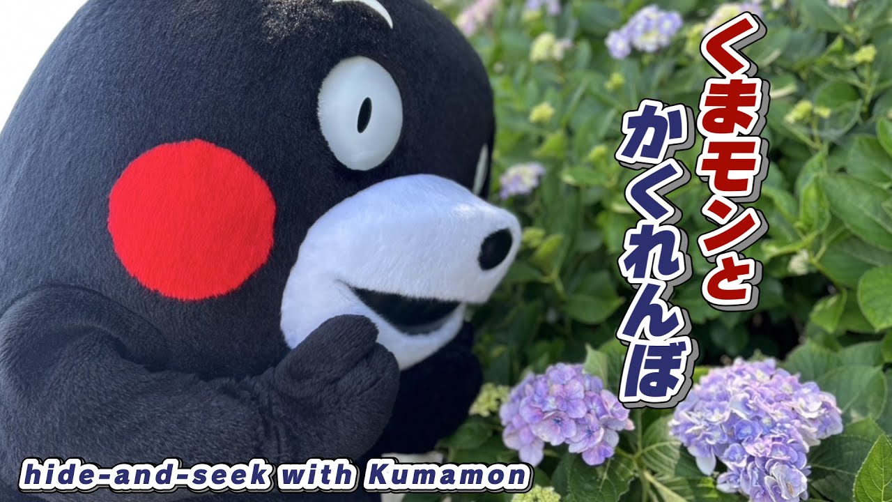 Kumamon TV #337 Can you find Kumamon hiding in the hydrangeas