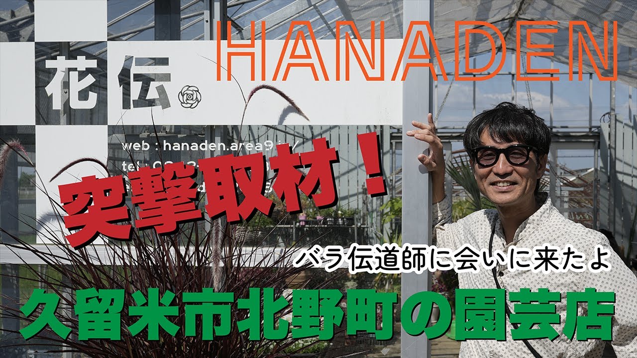 #124_久留米市北野町の園芸店「花伝（はなでん）」に突撃取材　バラ伝道師に会いに来たよ　多肉植物の宝庫