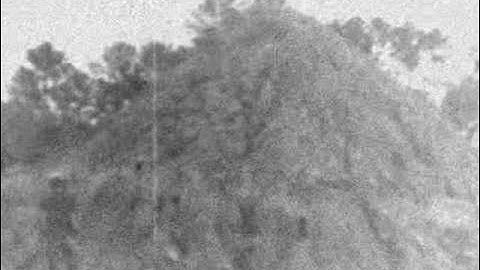 Your Truth feat . HIM Again ( Hollovlad Tapes )